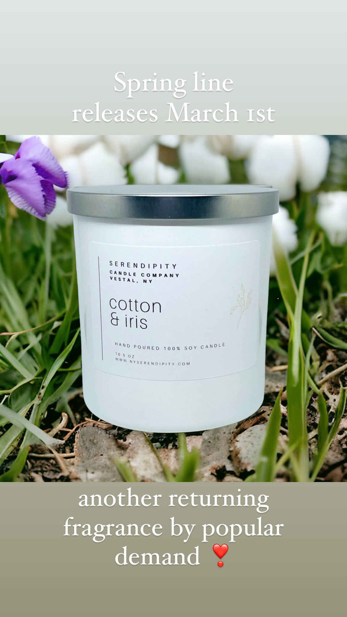 Cotton & Iris Soy Candle